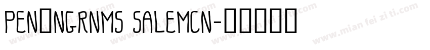 PENTNGRNMS SALEMCN字体转换